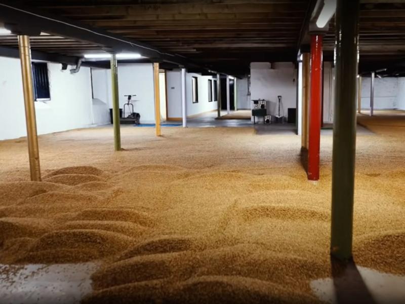 Picture of floor maltings at springbank distillery.jpg