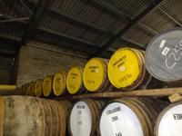 Picture of The Science of Whisky Maturation