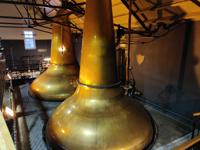 Picture of Types of Whisky Stills